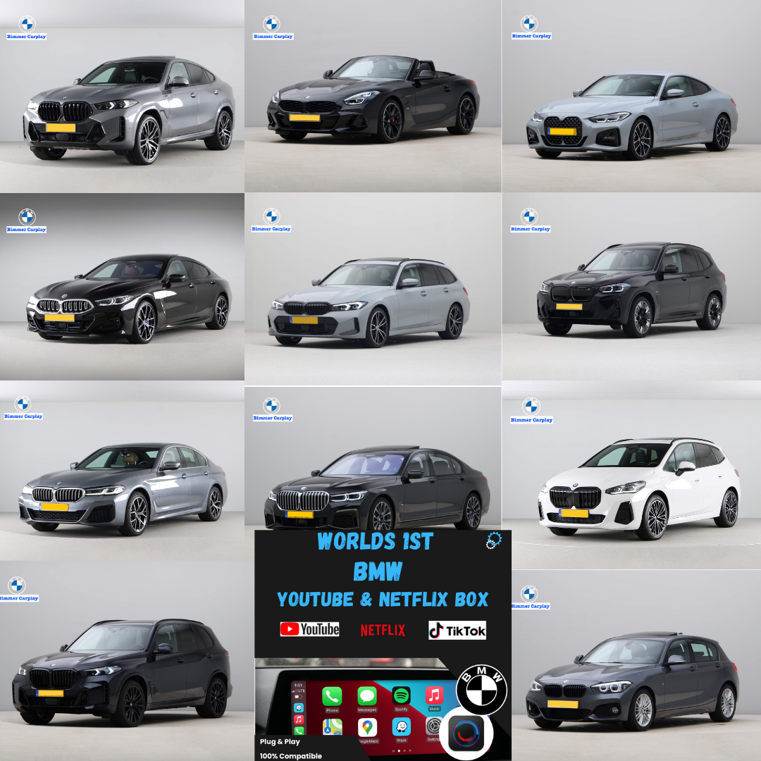 UpgradeYourBimmer™ AI Box